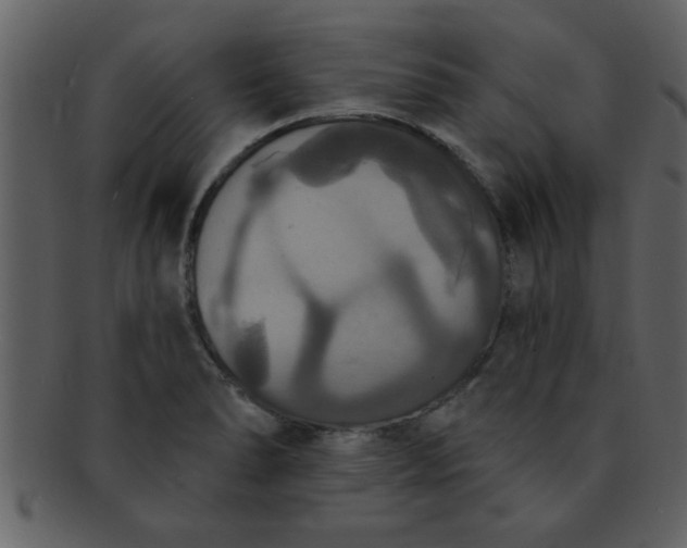 X0000093131278200710171259