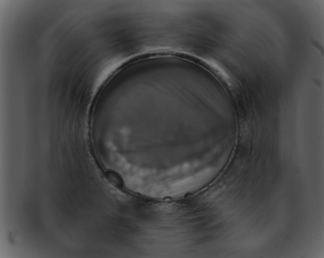 X0000093131279200710171259