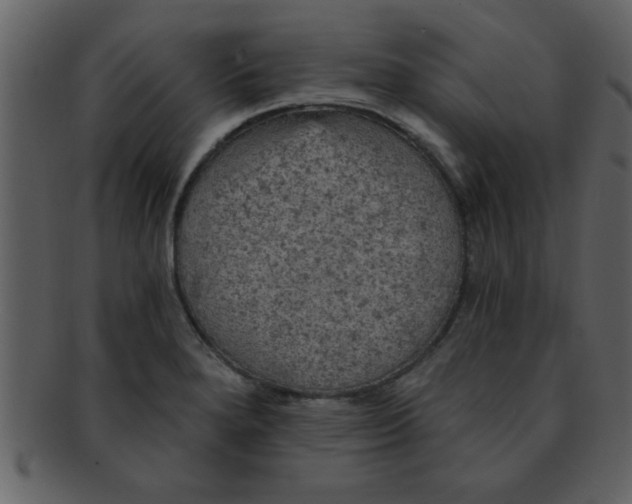 X0000093131280200710171259