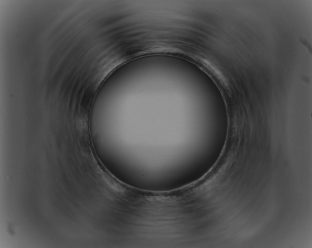 X0000093131281200710171259