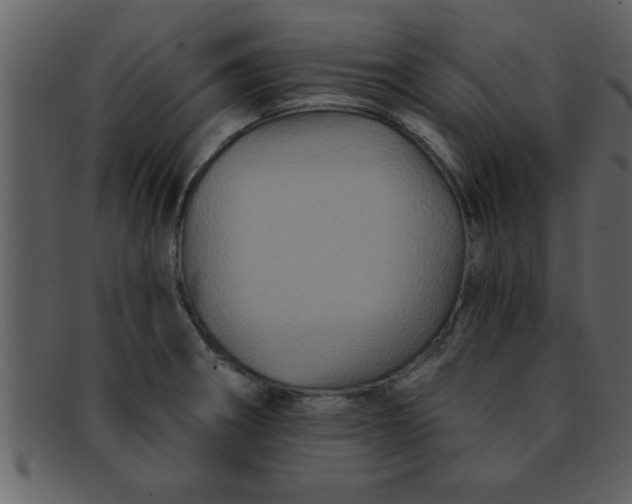 X0000093131282200710171259