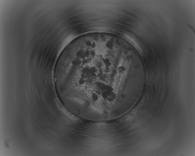 X0000093131283200710171259