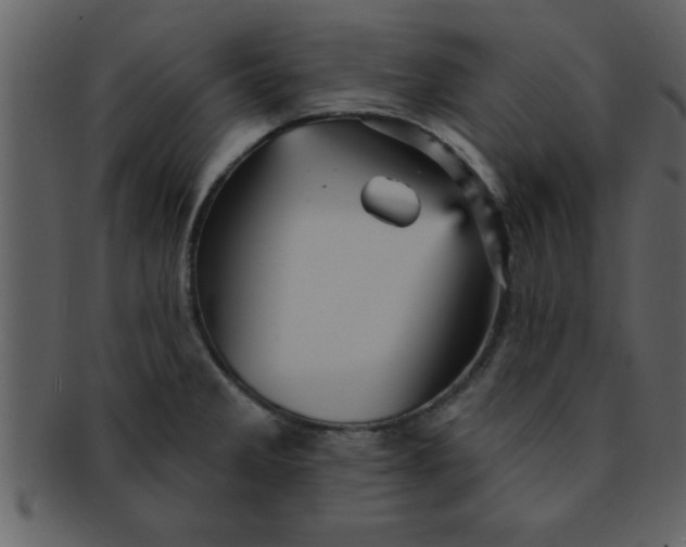 X0000093131285200710171259