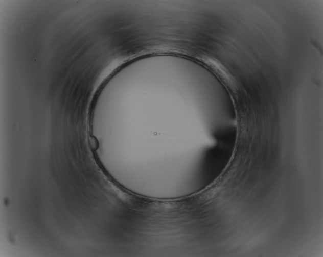 X0000093131286200710171259