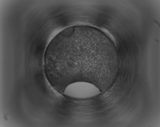 X0000093131287200710171259