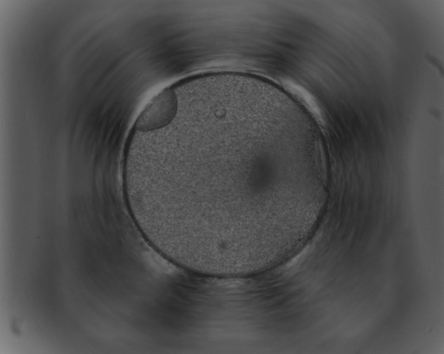 X0000093131288200710171259