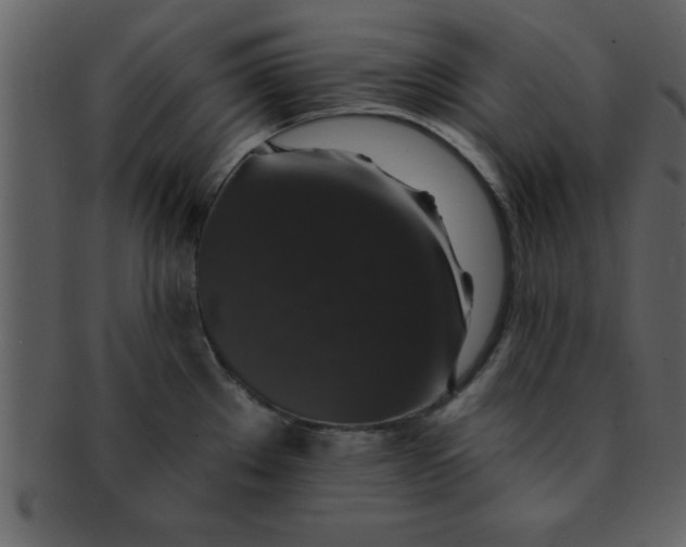 X0000093131289200710171259