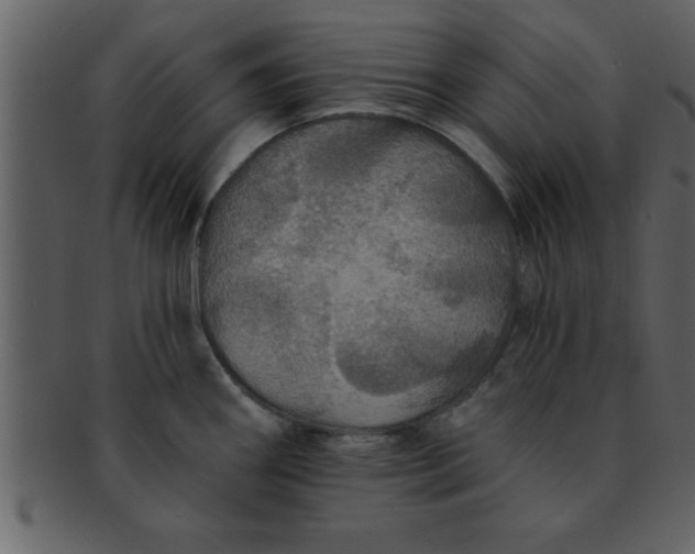 X0000093131290200710171259