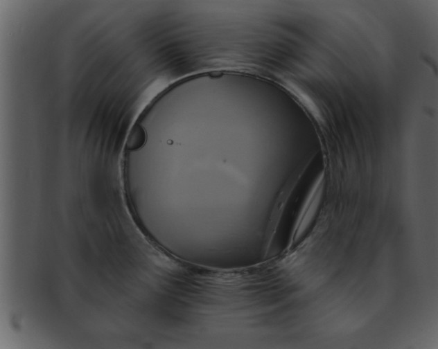 X0000093131291200710171259