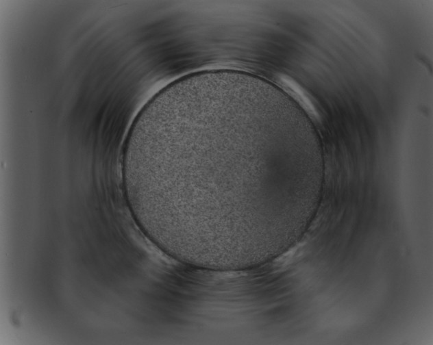 X0000093131292200710171259