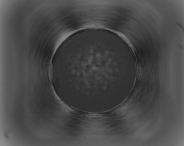 X0000093131295200710171259