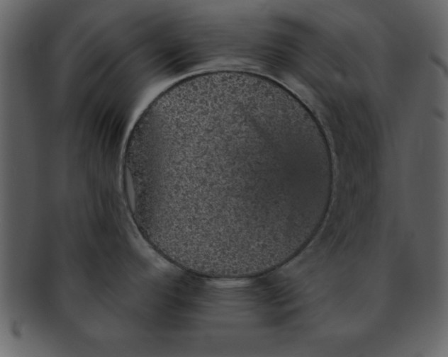 X0000093131296200710171259