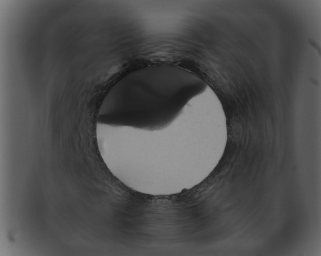 X0000093131297200710171258