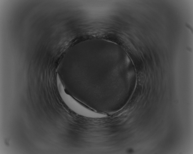 X0000093131298200710171258