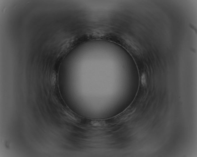 X0000093131299200710171259