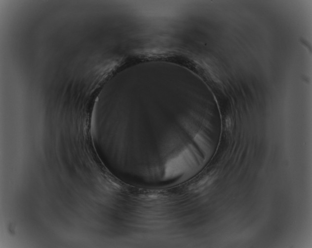 X0000093131300200710171259