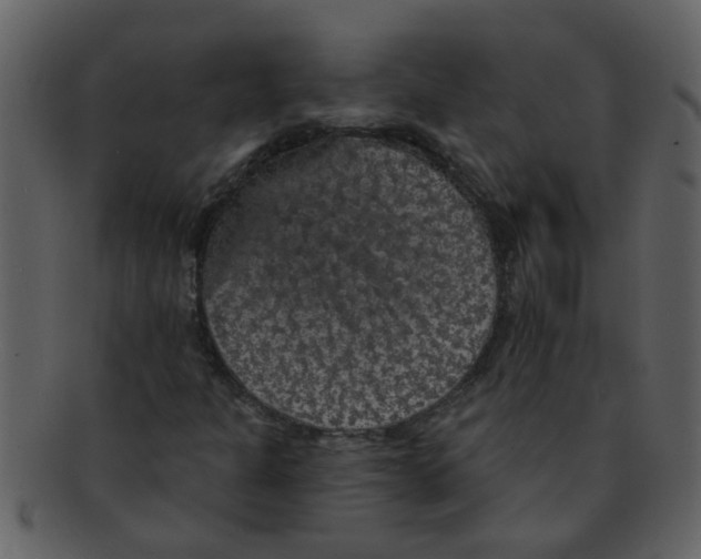 X0000093131301200710171259