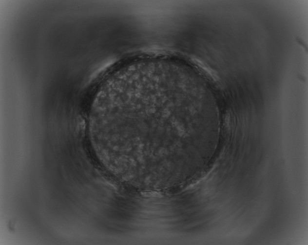 X0000093131302200710171259