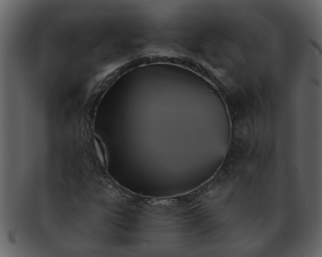 X0000093131303200710171259