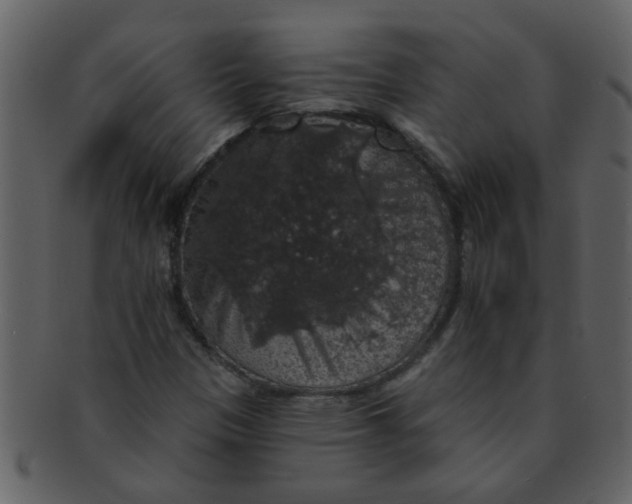 X0000093131305200710171259