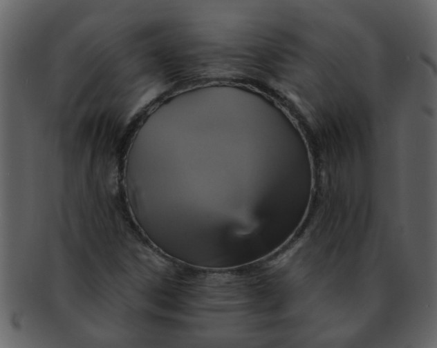 X0000093131306200710171259