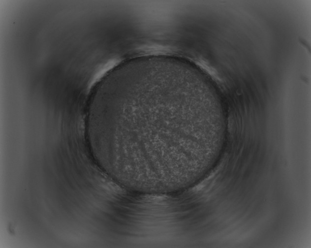 X0000093131309200710171259