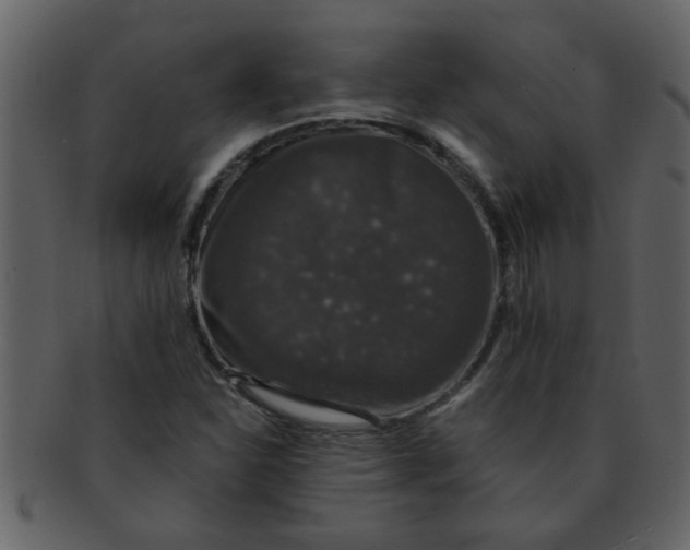 X0000093131310200710171259