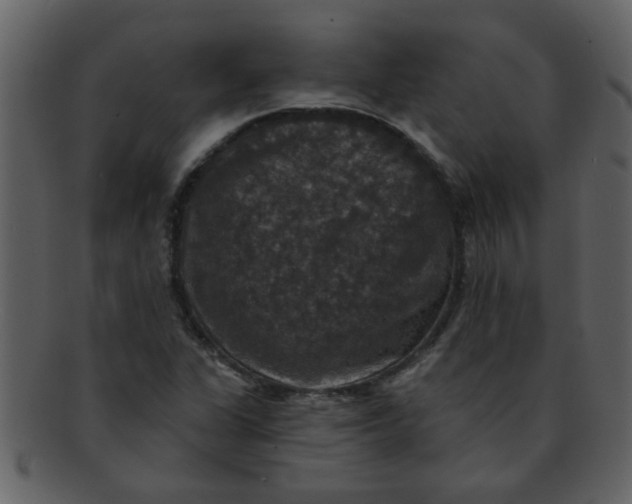 X0000093131311200710171259