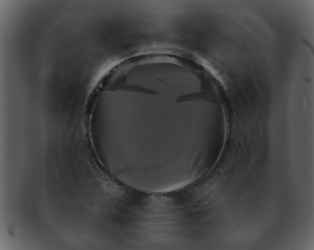 X0000093131312200710171259