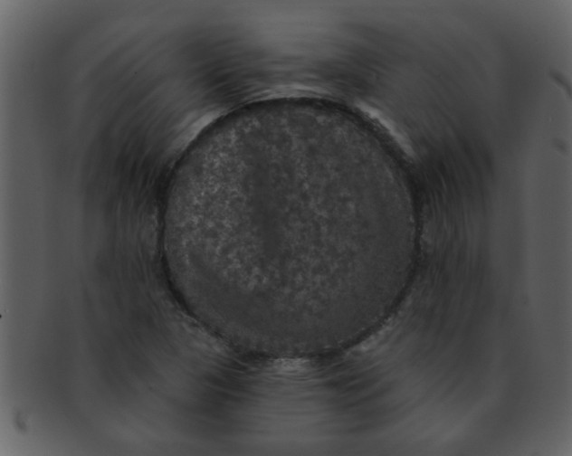 X0000093131313200710171259