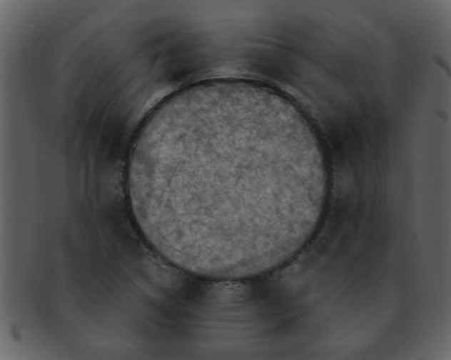 X0000093131314200710171259