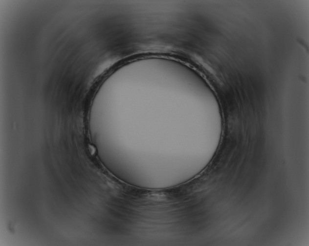 X0000093131315200710171259