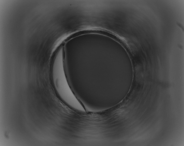 X0000093131319200710171259