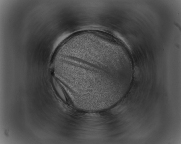 X0000093131320200710171259