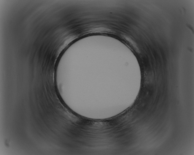 X0000093131322200710171259