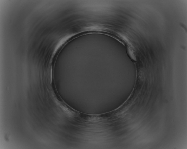 X0000093131323200710171259