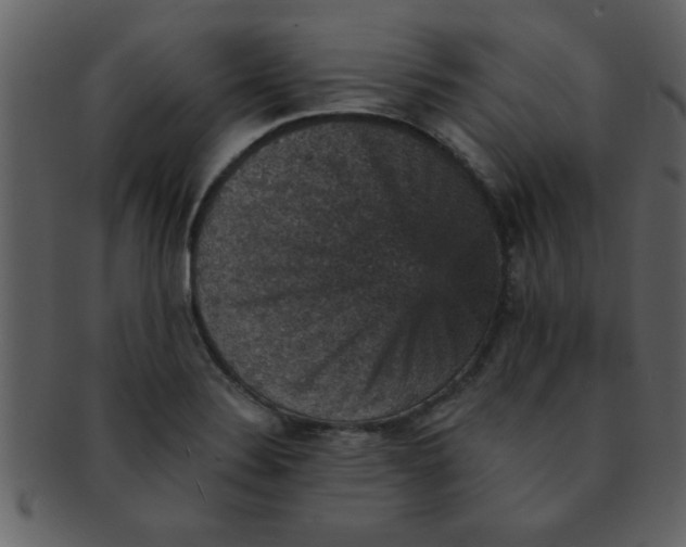 X0000093131324200710171259