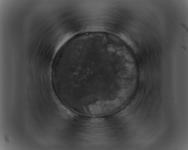 X0000093131325200710171259