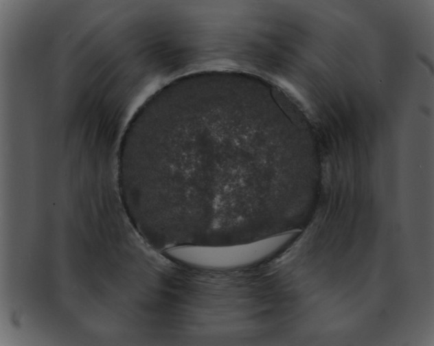 X0000093131326200710171259