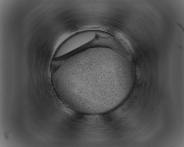 X0000093131328200710171259