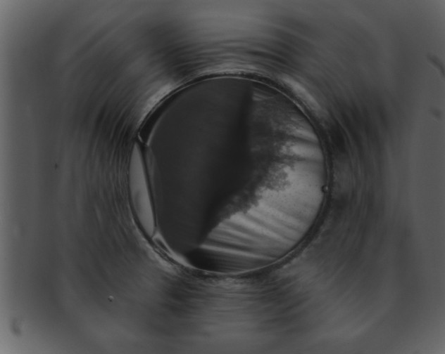 X0000093131329200710171259