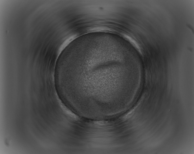 X0000093131330200710171259