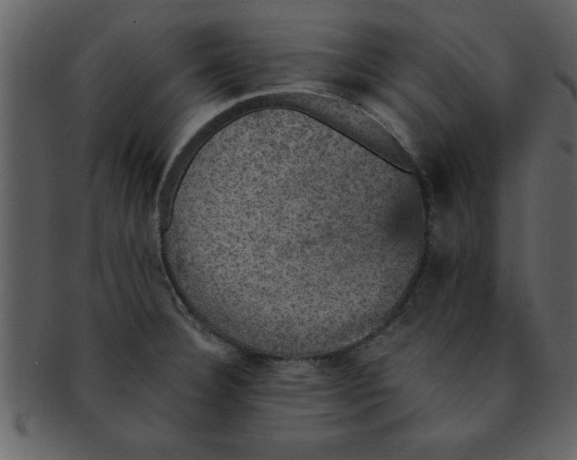 X0000093131332200710171259