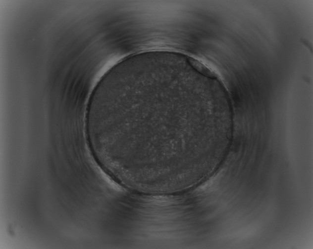 X0000093131333200710171259