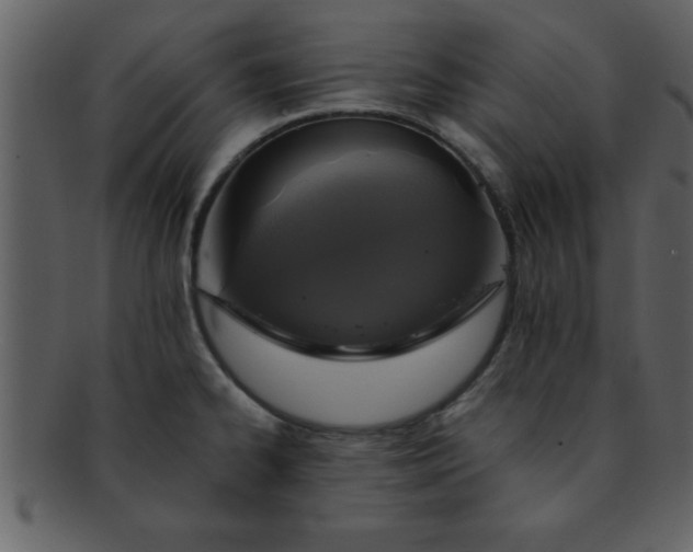 X0000093131334200710171259