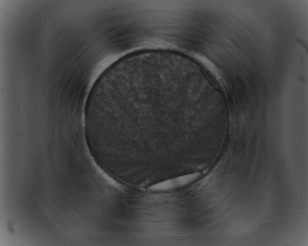 X0000093131335200710171259