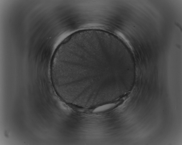 X0000093131336200710171259