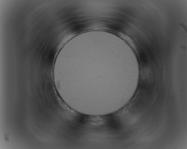 X0000093131338200710171259