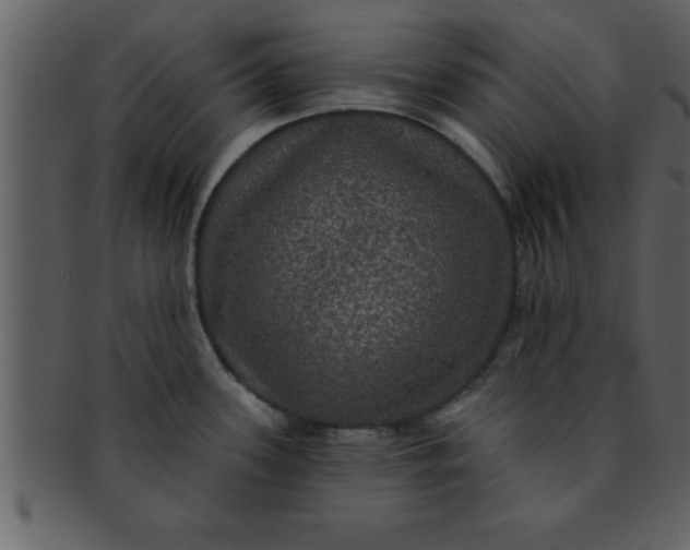 X0000093131339200710171259