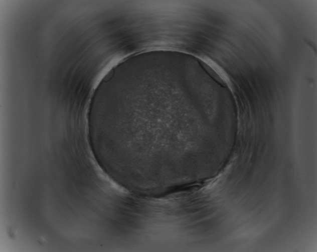 X0000093131341200710171259